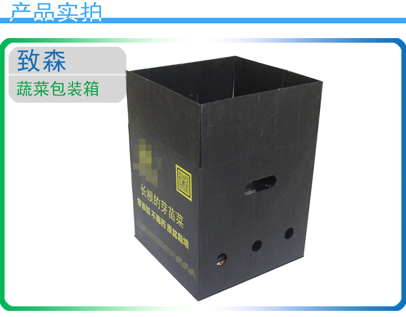 pp中空板包裝箱